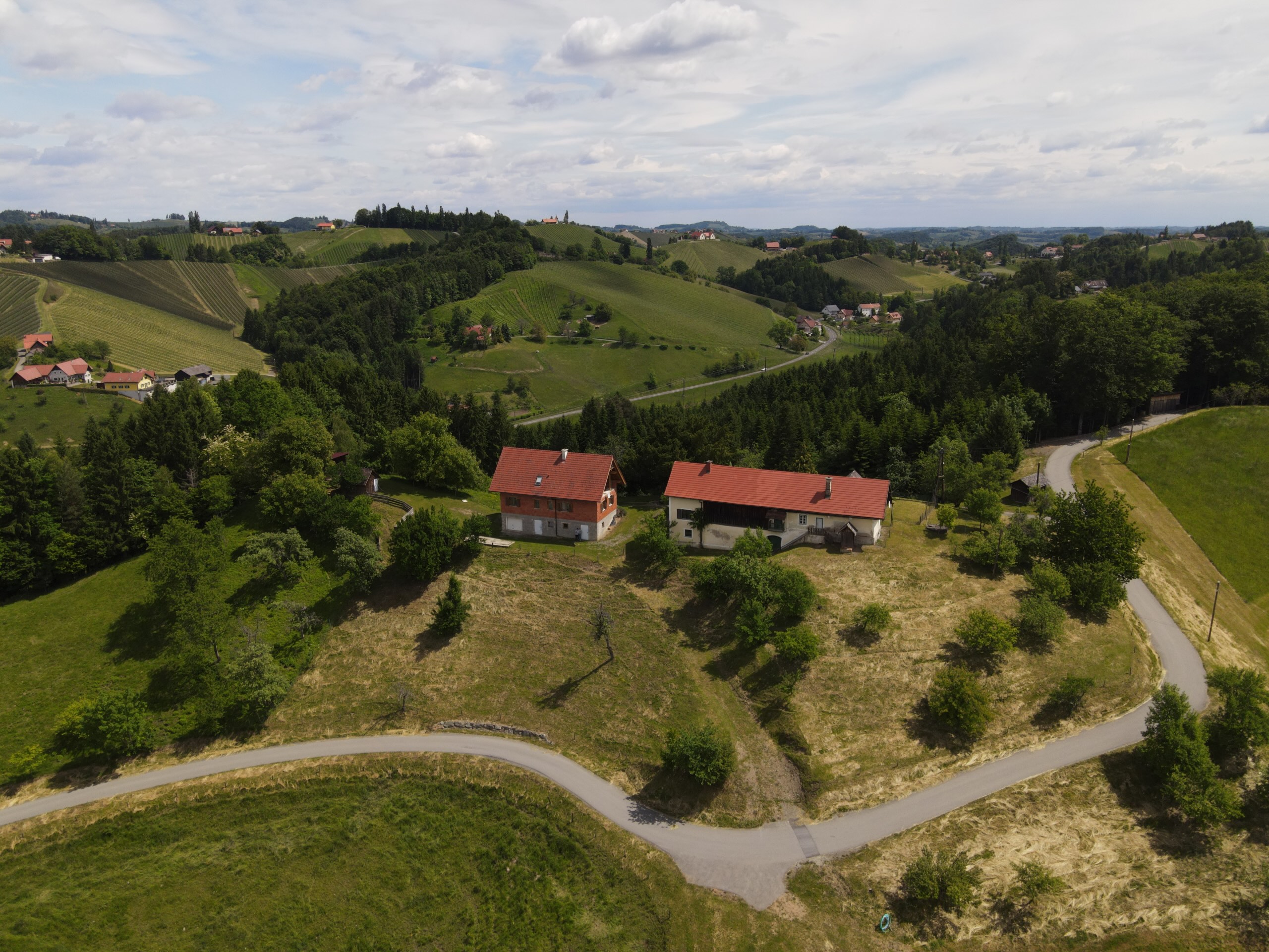 Leutschach-Haus-Aussicht-scaled