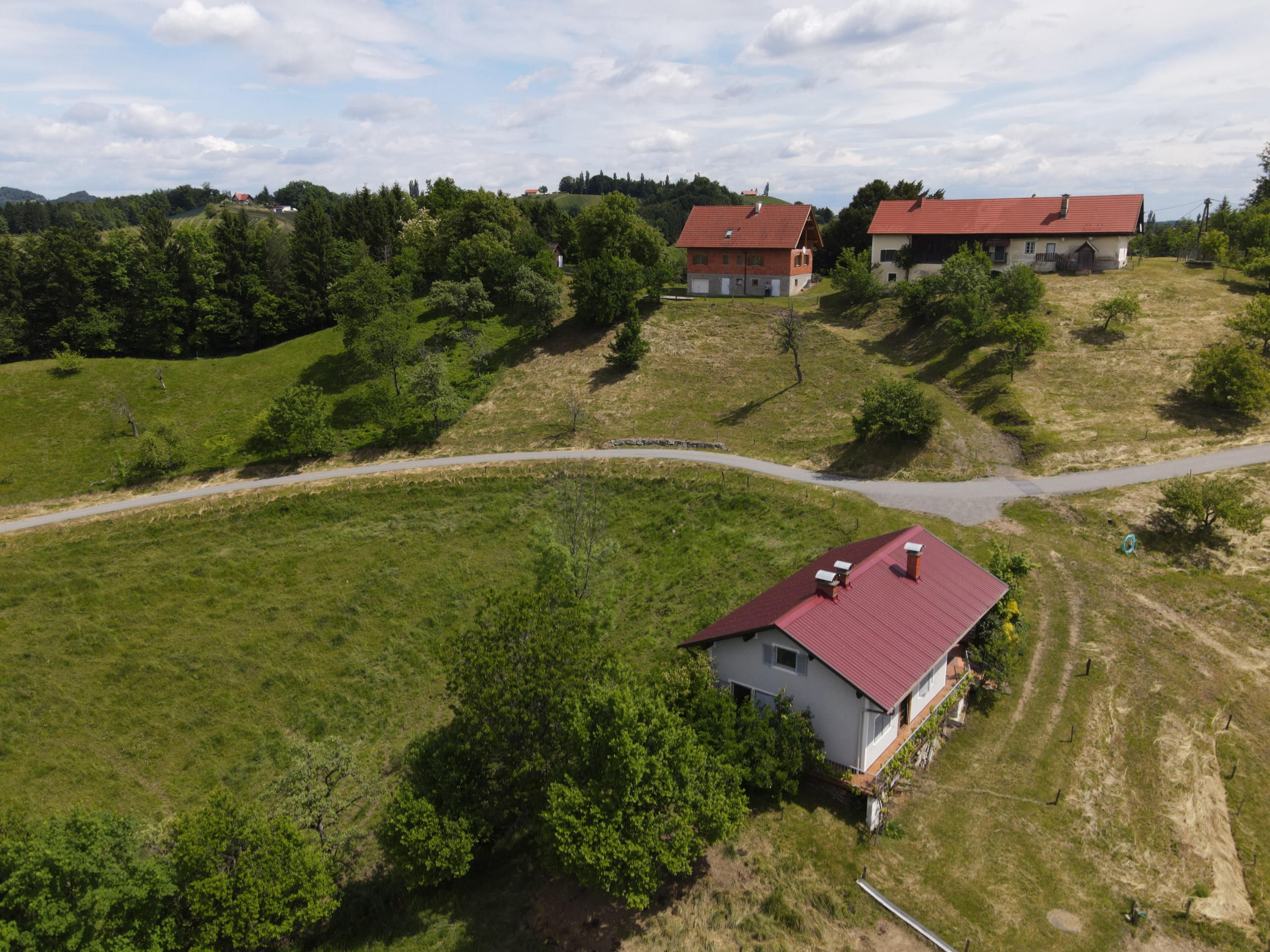 Leutschach-Haus-Umfeld-scaled